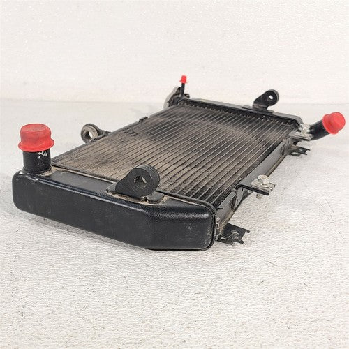 productimage413315516