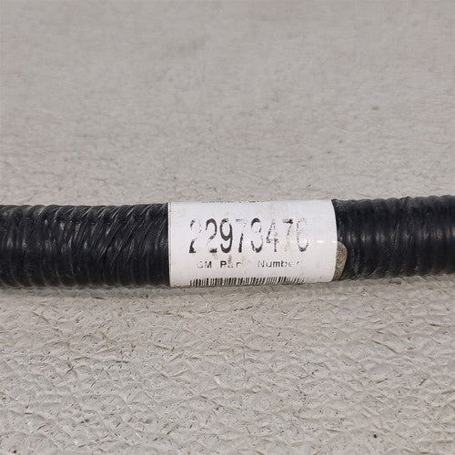 45923727