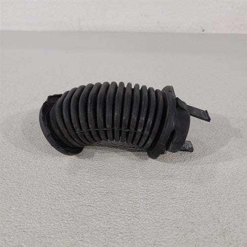 45923555