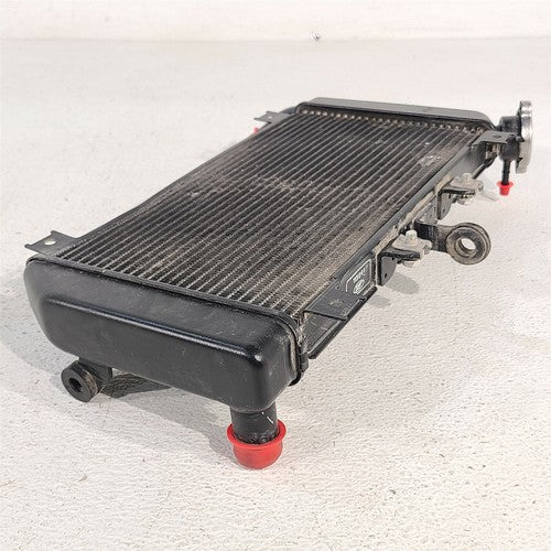 productimage413315520