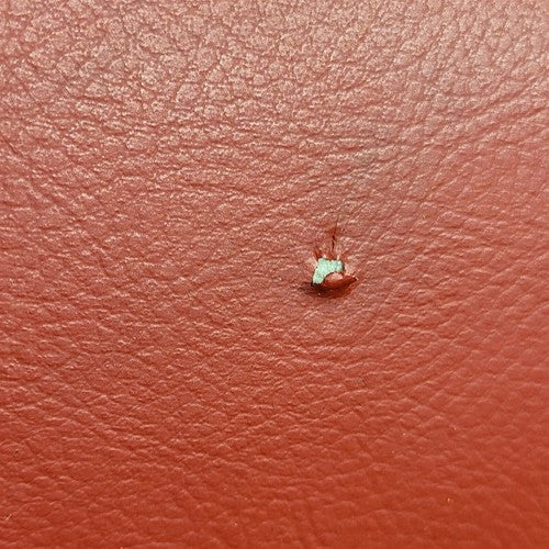 productimage413318476