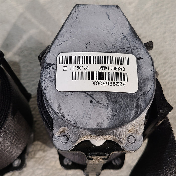 47753669