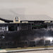47906450