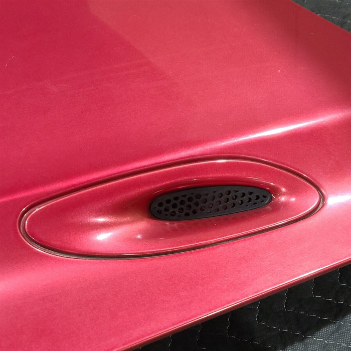 94-98 Mustang GT Hood Aa7239