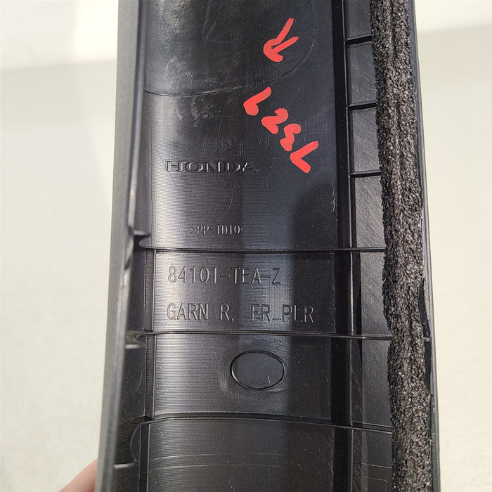 44605516