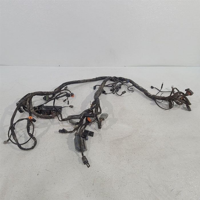 2003 Harley Electra Glide Classic Main Wiring Harness Loom PS1088