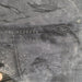 47898371