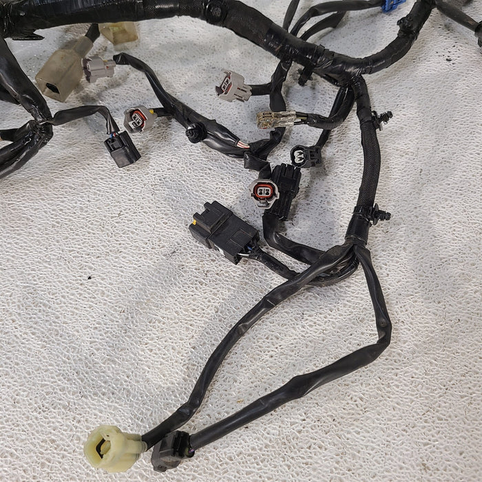 productimage413294494