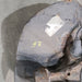 47770702