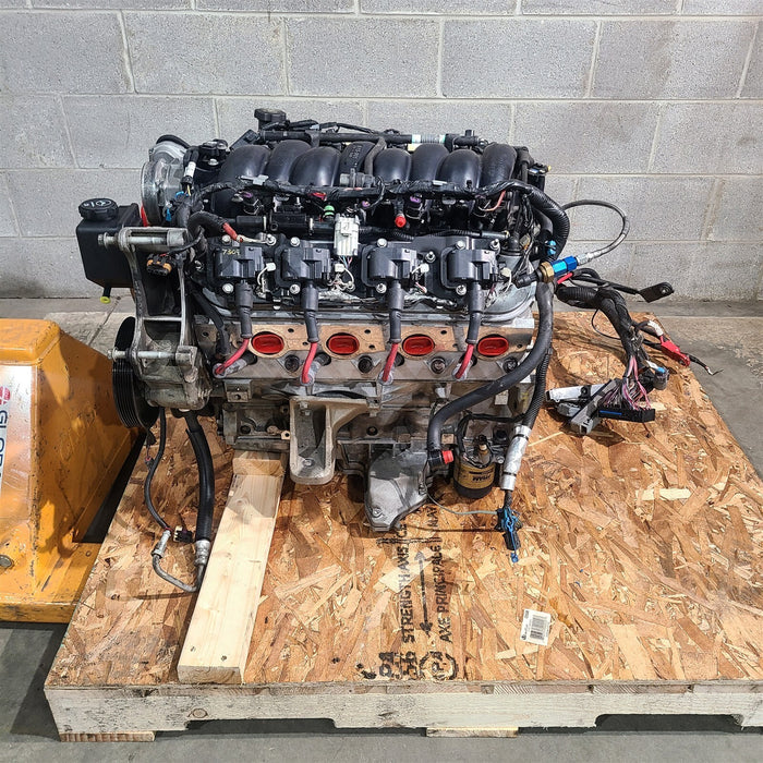 47554276