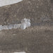 productimage413261969