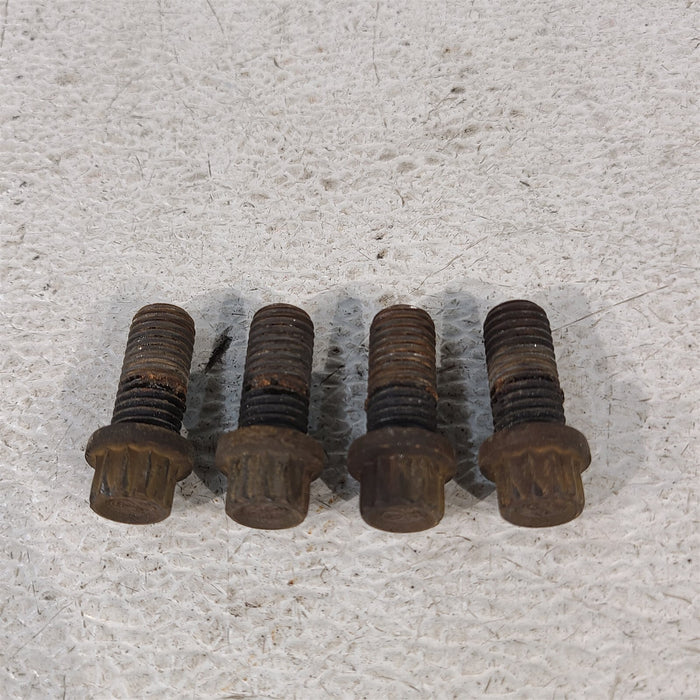 productimage413336186