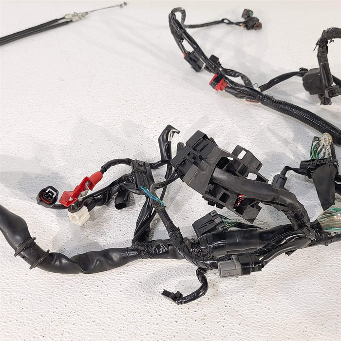 productimage413266471