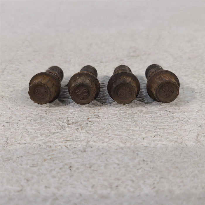 productimage413336185