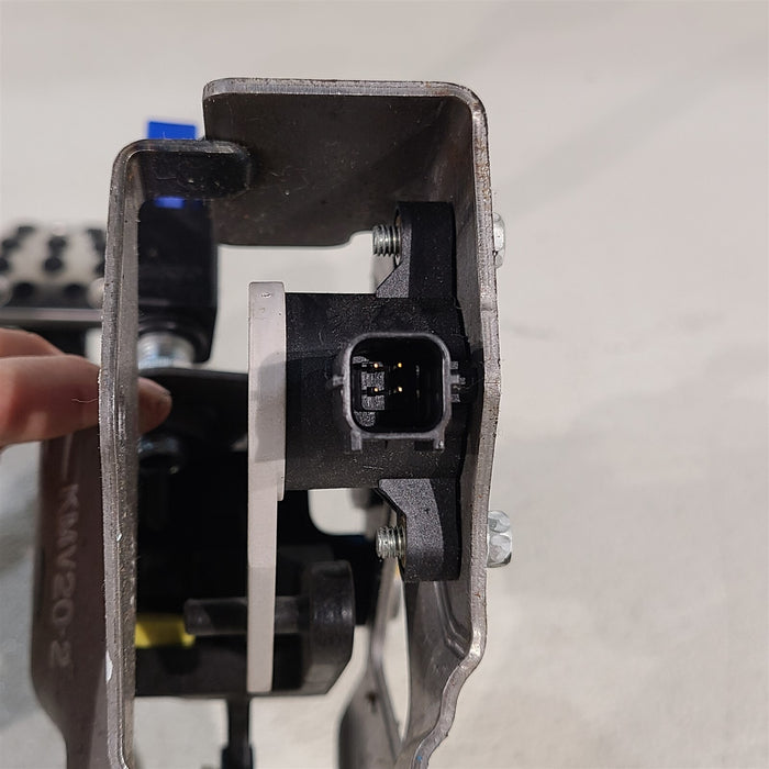 45050445