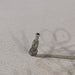 46639298