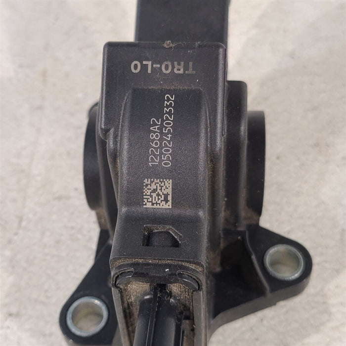 43701900