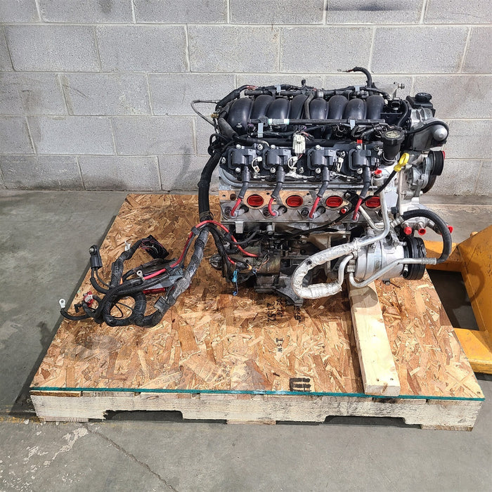 47554276