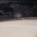47240406