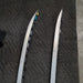 47361530