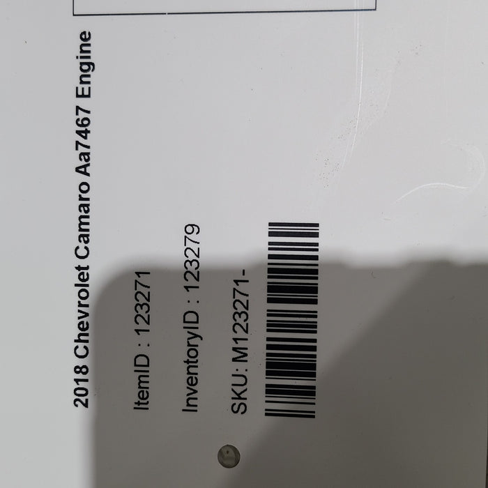 46991902