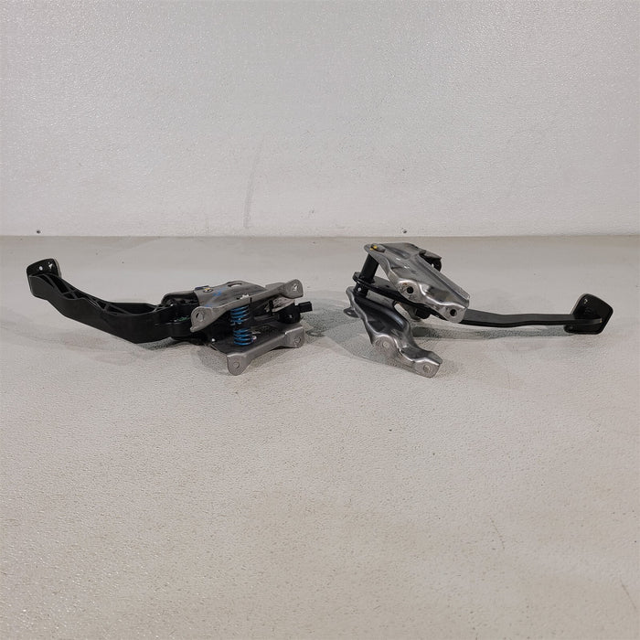 45050445