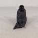 46329589