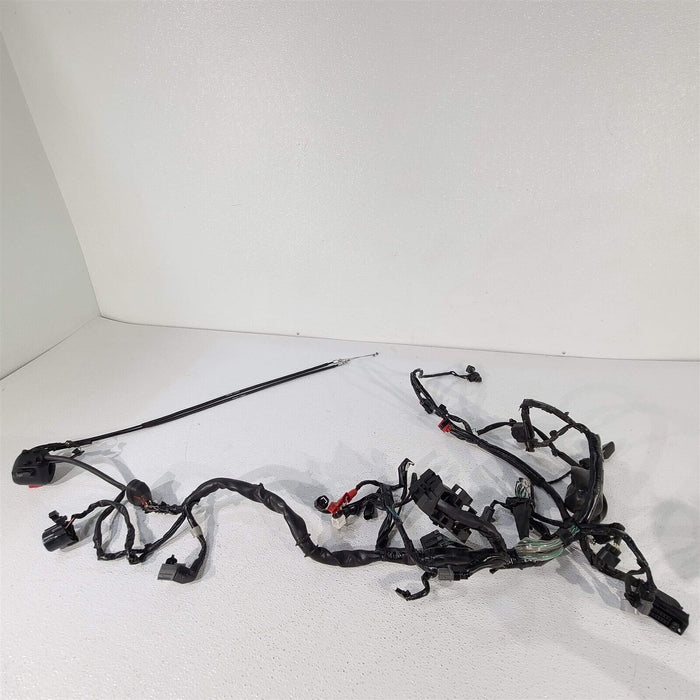 2020 Honda CBF300 Main Wiring Harness PS1009